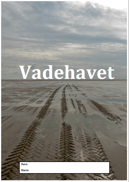 Vadehavet