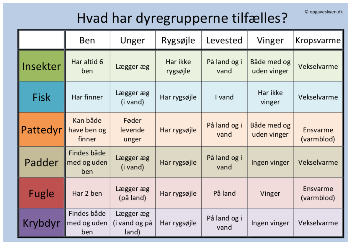 oversigt over dyregrupperne