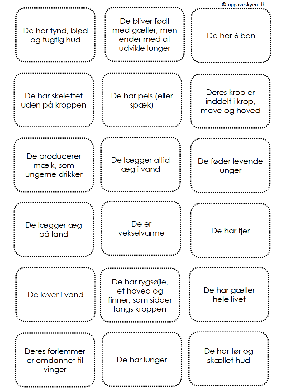 Dyregrupper-spil/løb BRIKKER