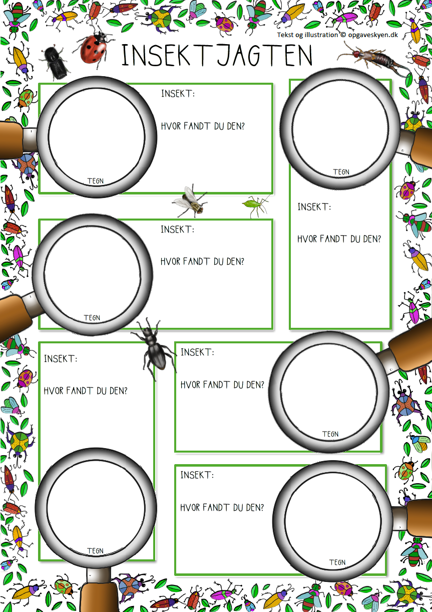 På jagt efter insekter