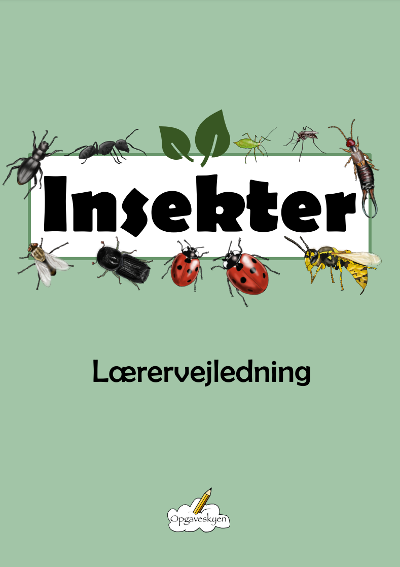 Insekter- lærervejledning
