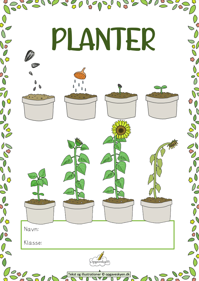 Planter 2.-3. klassetrin