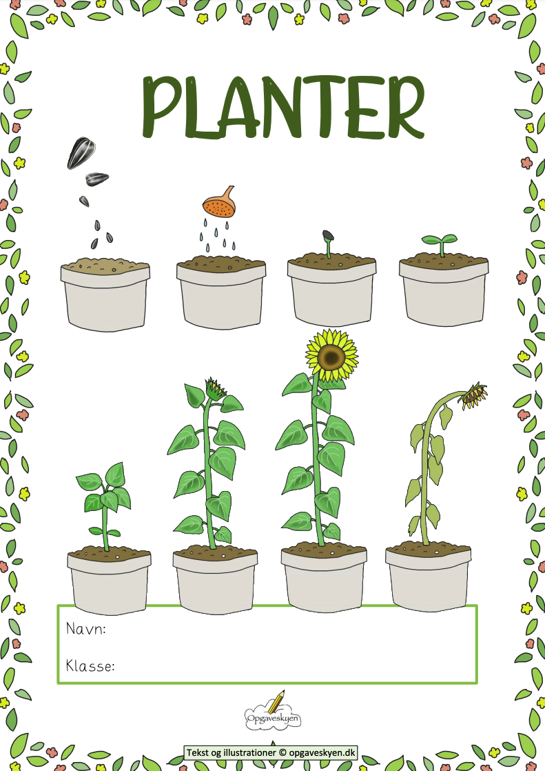 Planter -