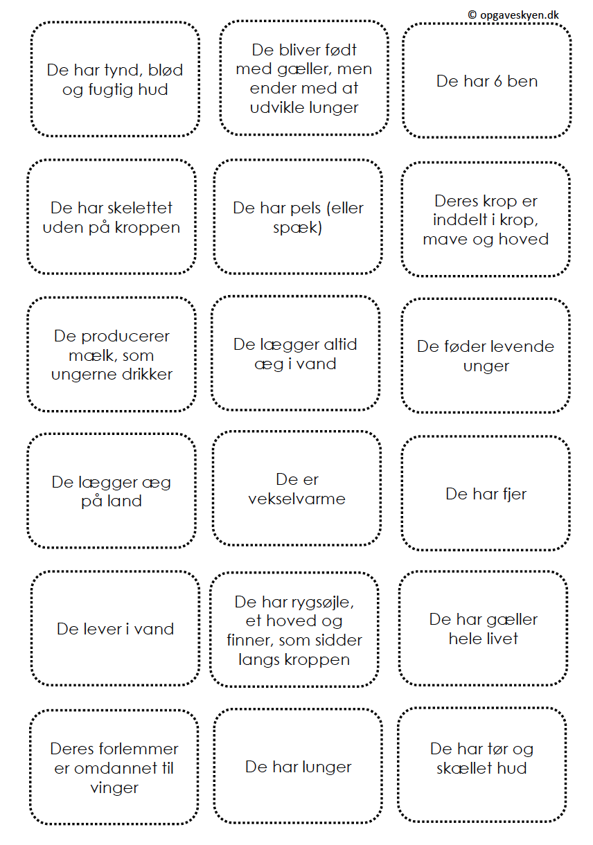 Dyregrupper spil/løb – kort