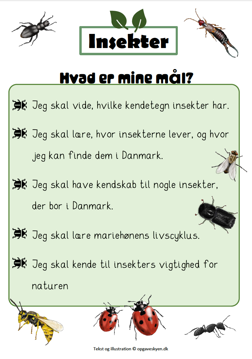 Insekter mål