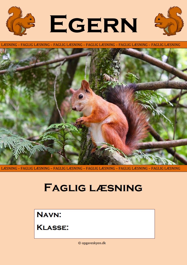 Faglig læsning – Egern