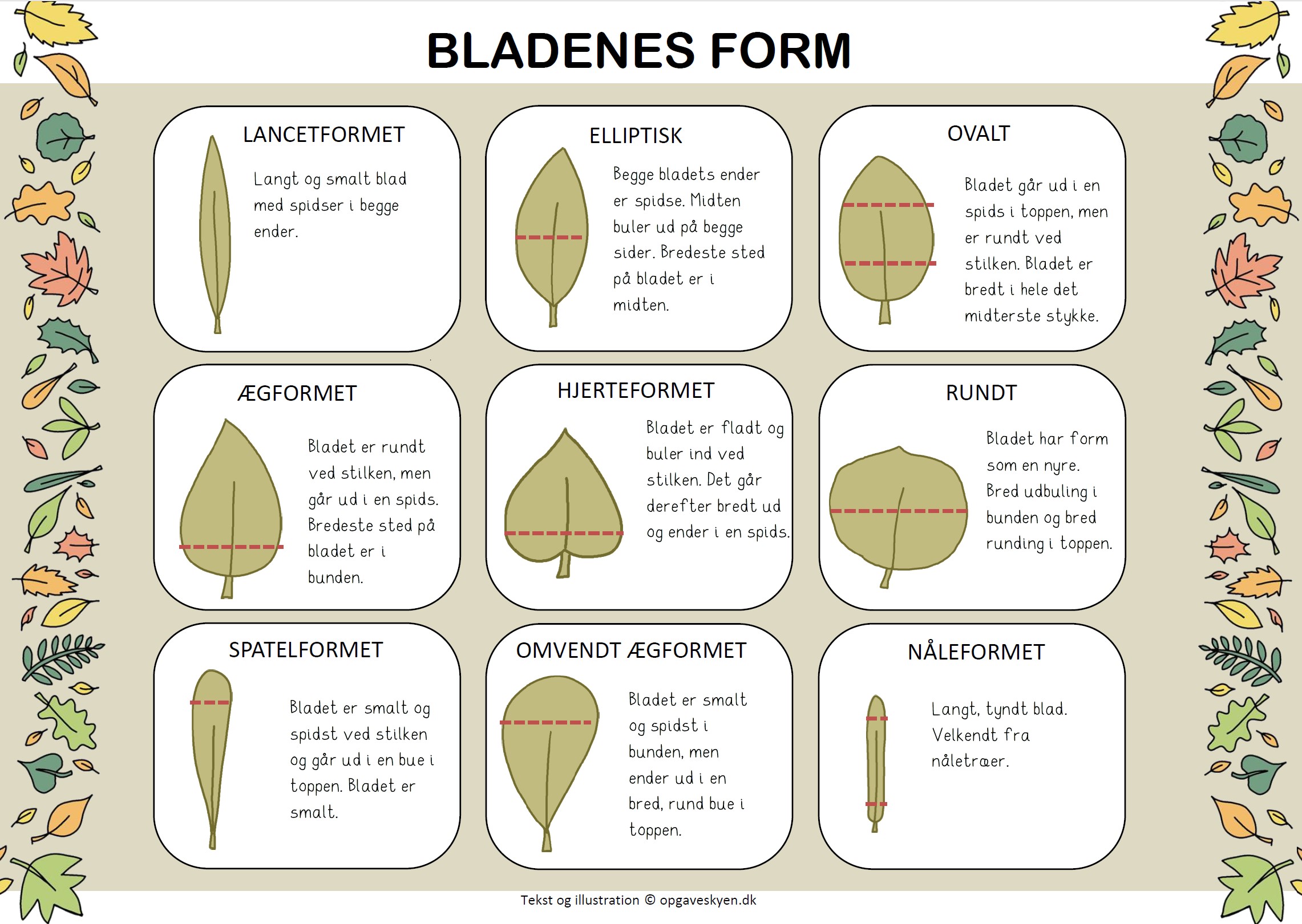 Bladenes form – oversigt