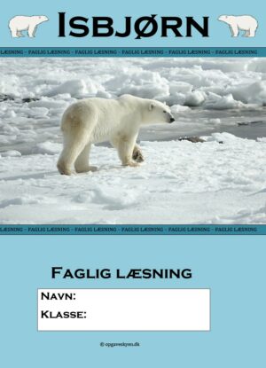 Faglig læsning – Isbjørn